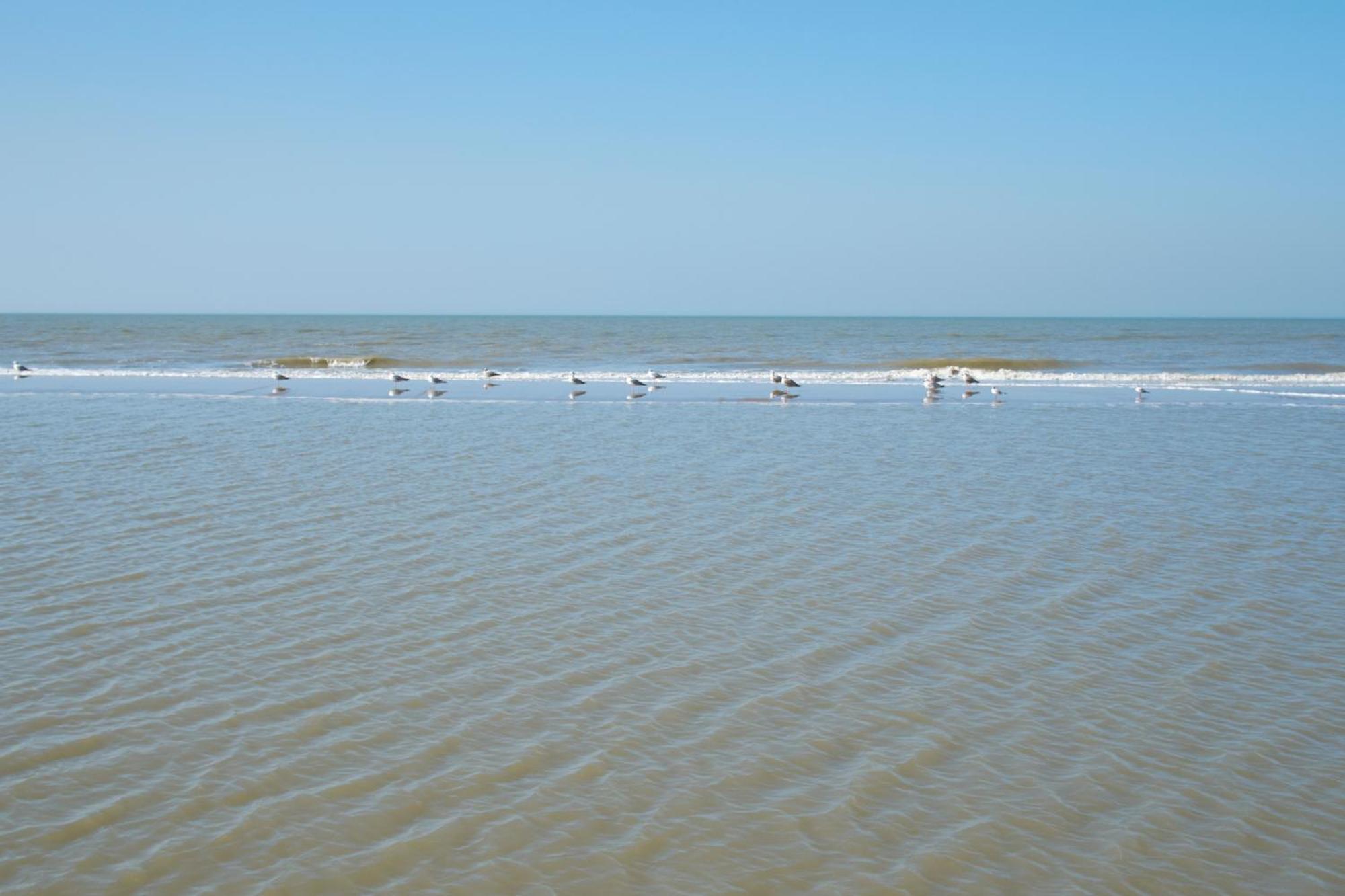 Appartamento Familie Zwinkels Zandvoort Esterno foto