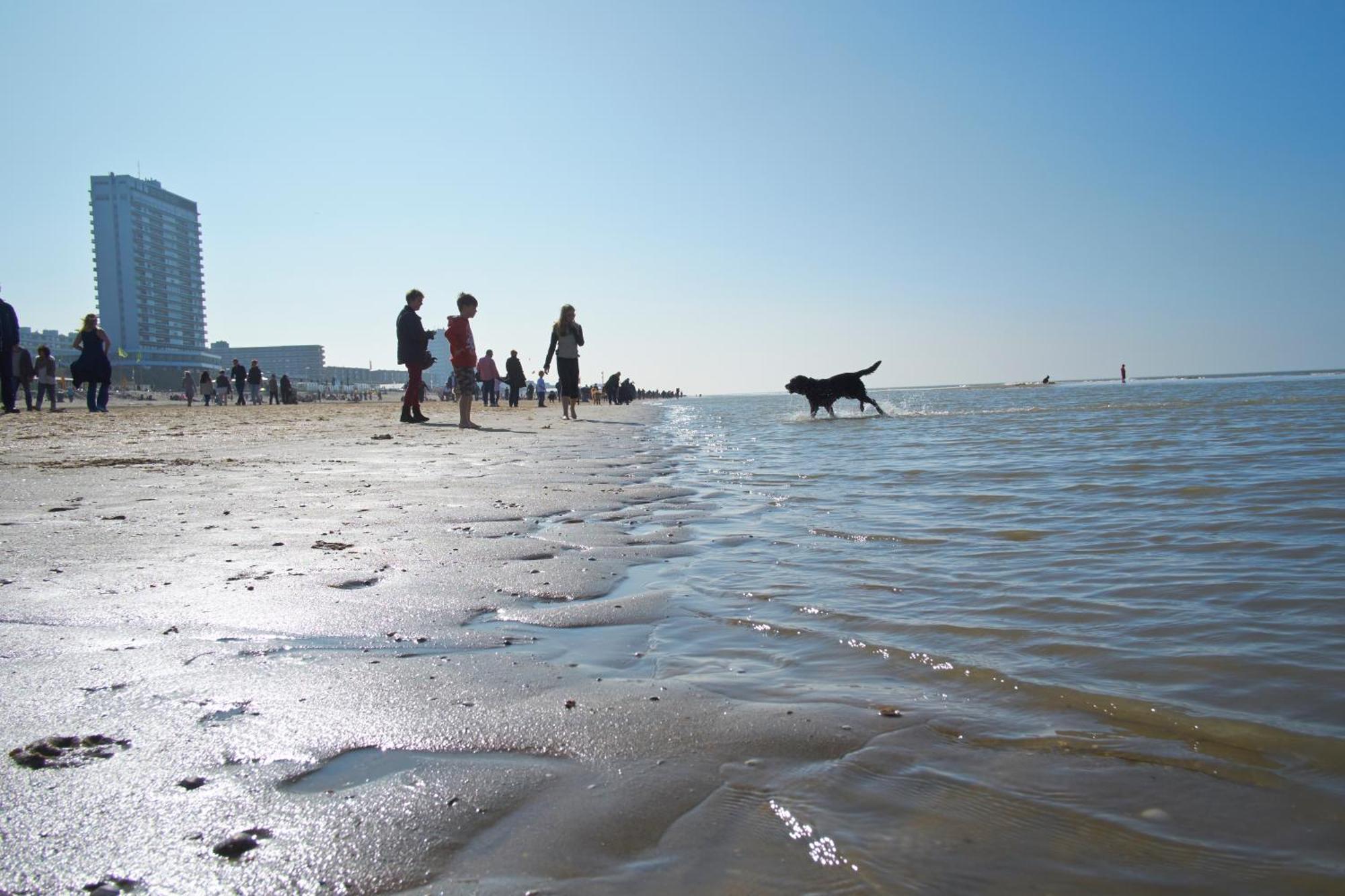 Appartamento Familie Zwinkels Zandvoort Esterno foto